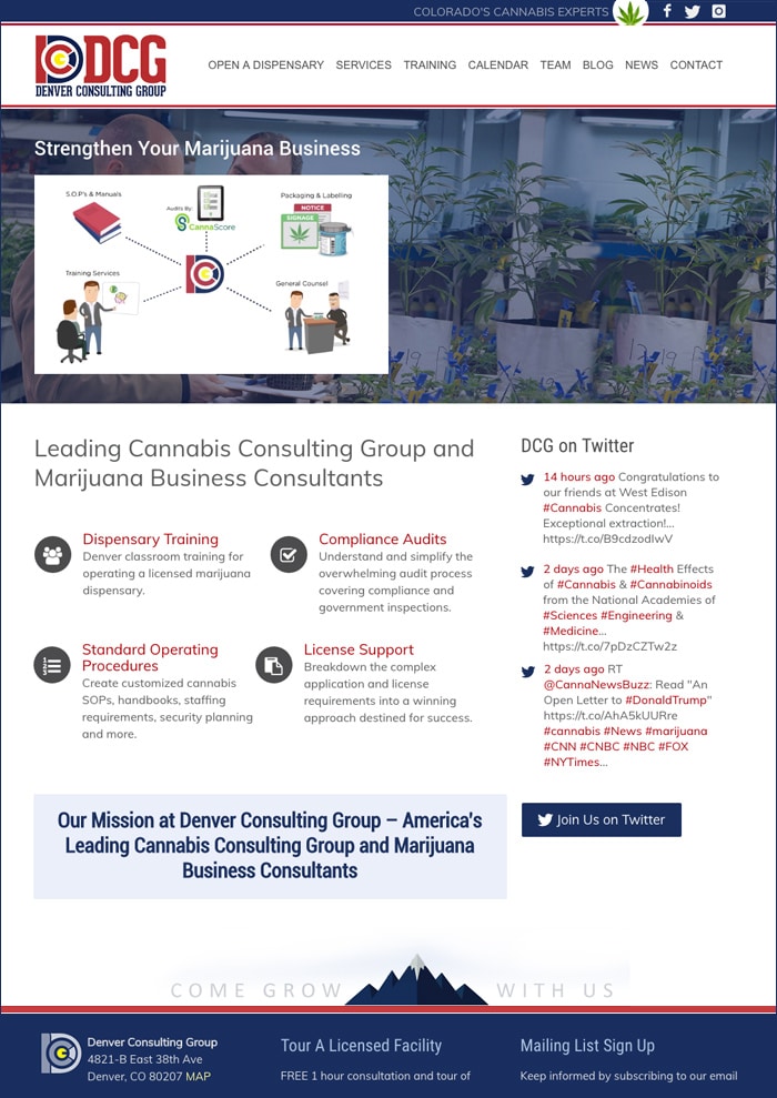 Denver Consulting Group Website